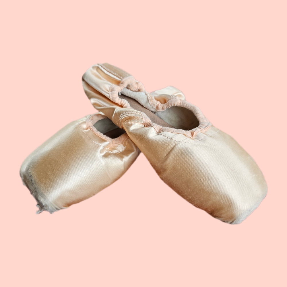 Pointe Shoes For Crafts